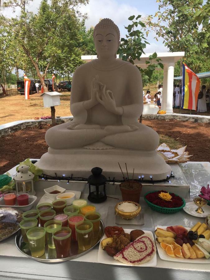 Peacock Resort Anuradhapura Exterior foto